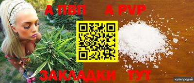 ПСИЛОЦИБИНОВЫЕ ГРИБЫ Конаково