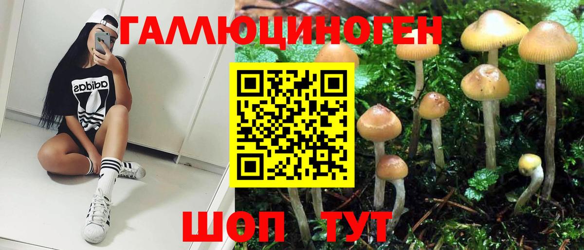 Псилоцибиновые грибы MAGIC MUSHROOMS Ярославль