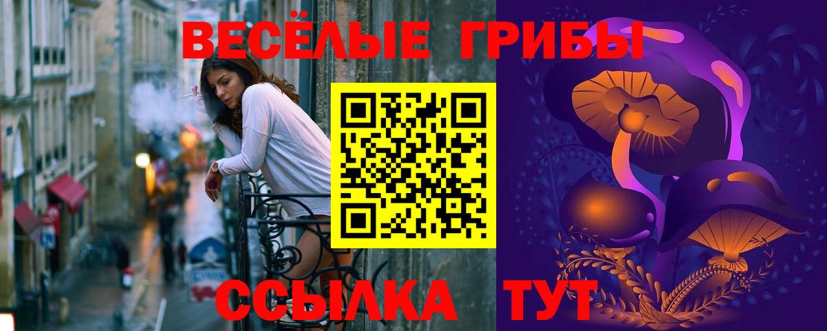 Ярославль  Псилоцибиновые грибы MAGIC MUSHROOMS  купить наркоту  Вход с VPN 